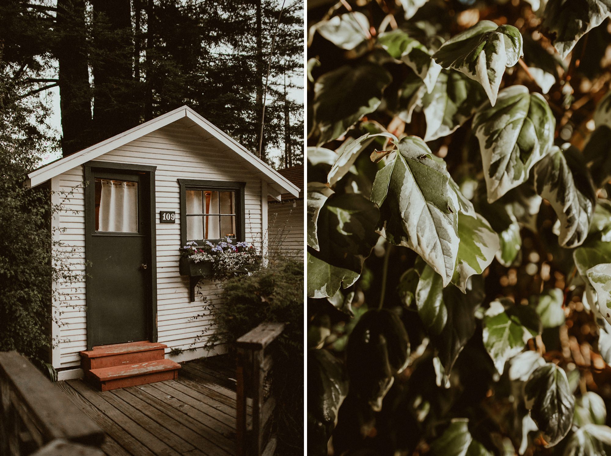 dawn ranch lodge wedding guerneville dawn ranch lodge wedding guerneville