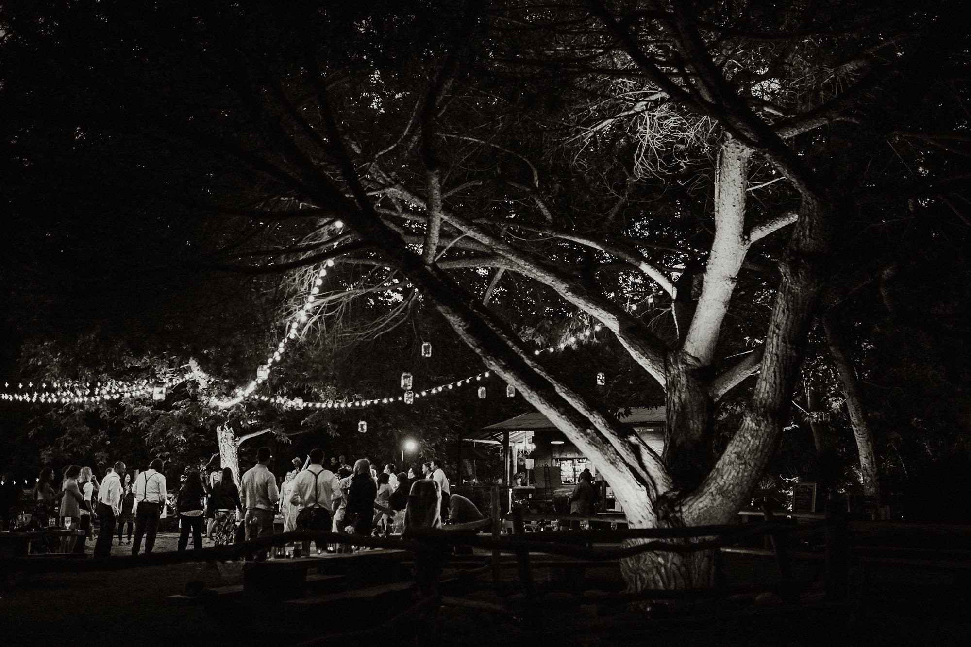 El Capitan Canyon Wedding Photos