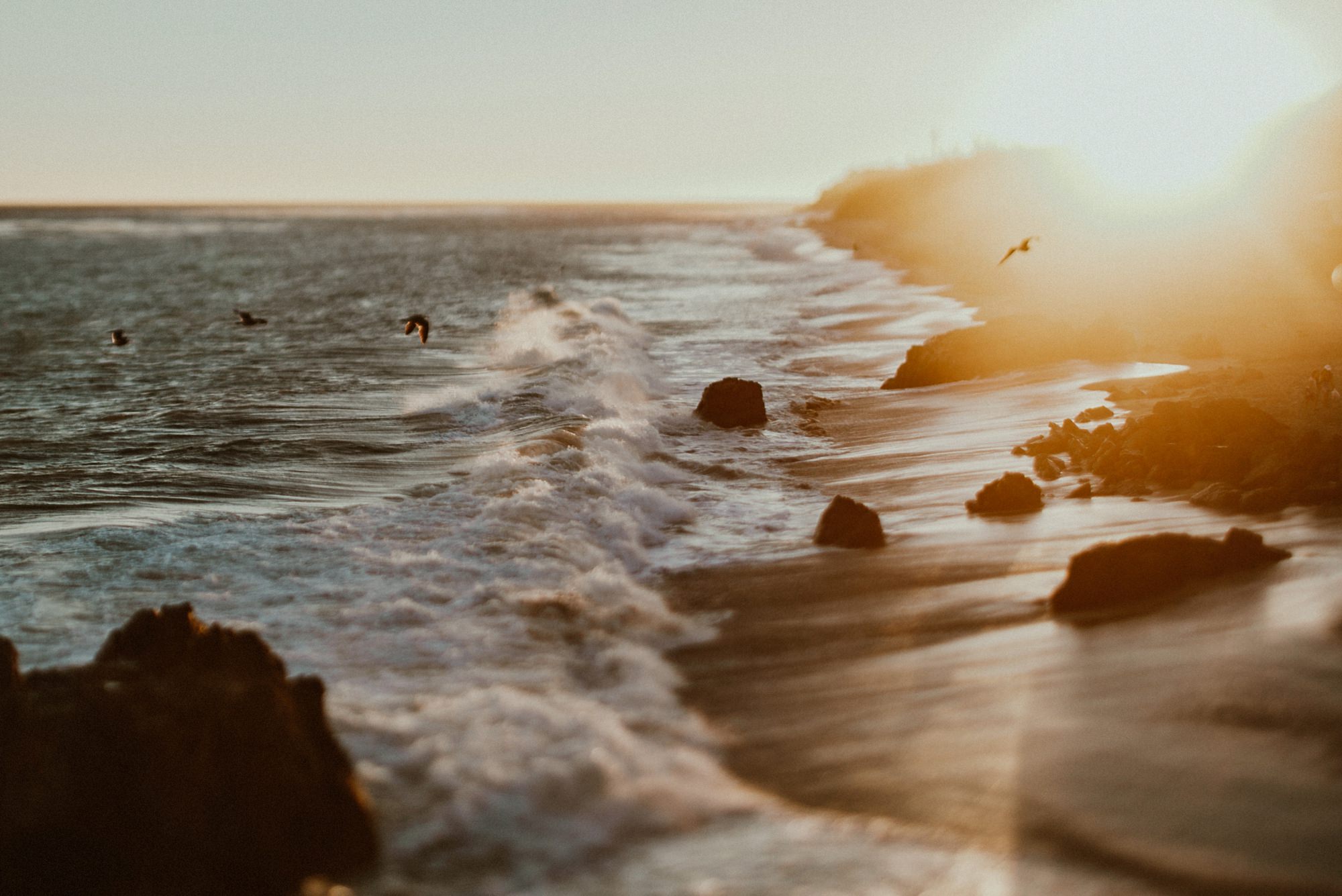 leo carrillo engagement photos in malibu