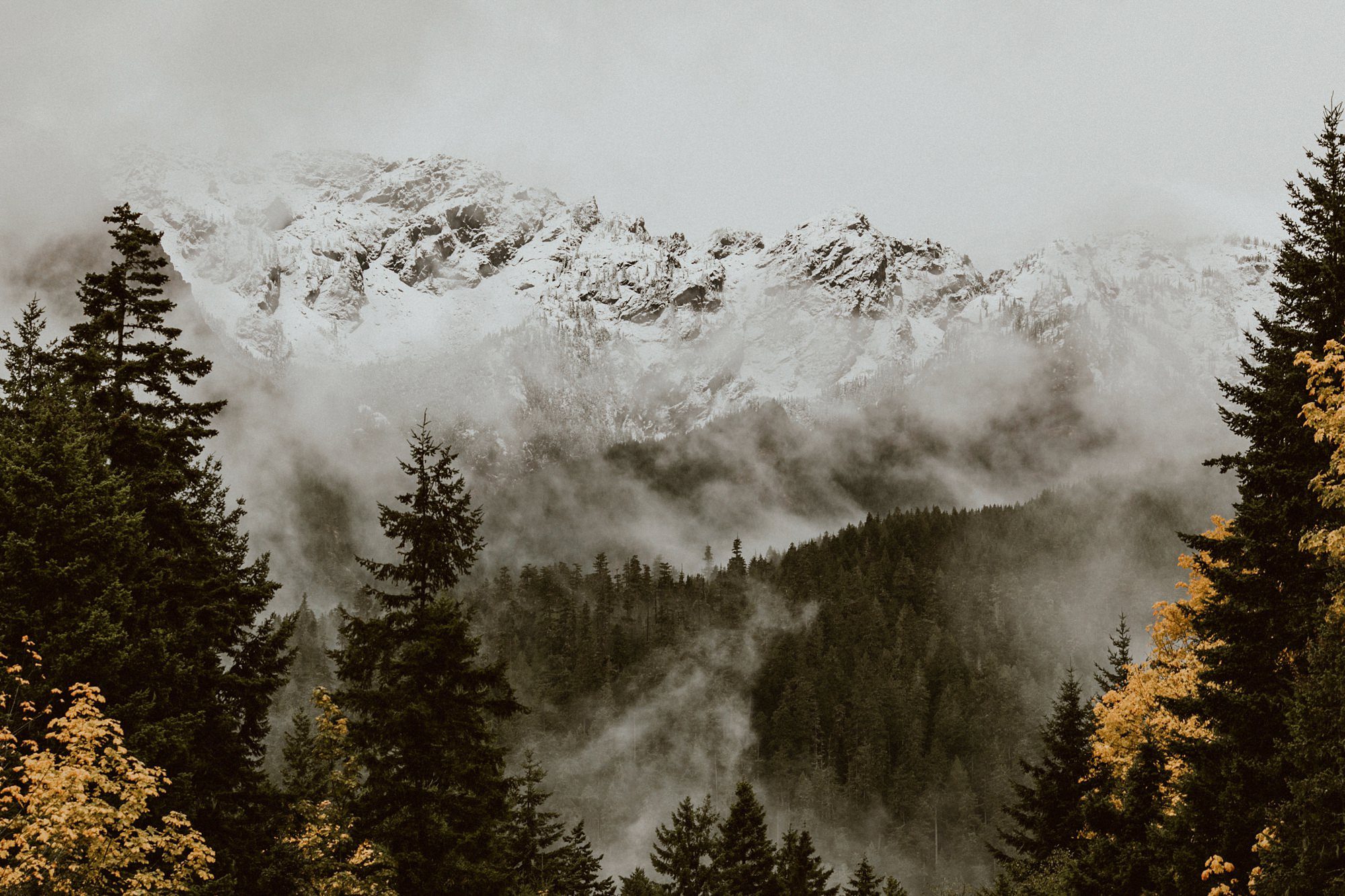 Lake Crescent Engagement Photos outside Seattle