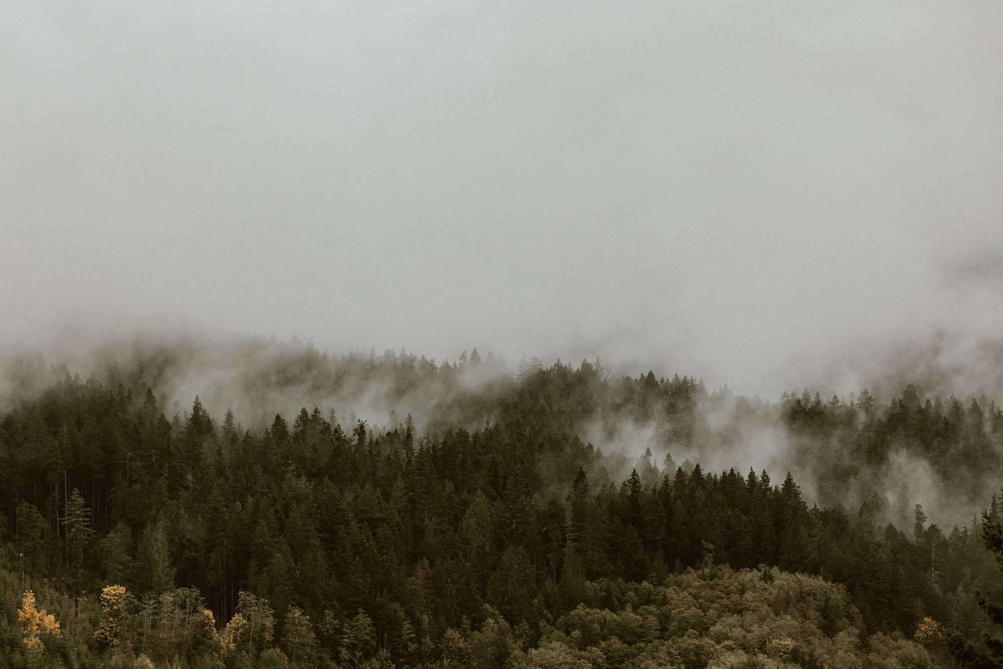 Lake Crescent Engagement Photos outside Seattle