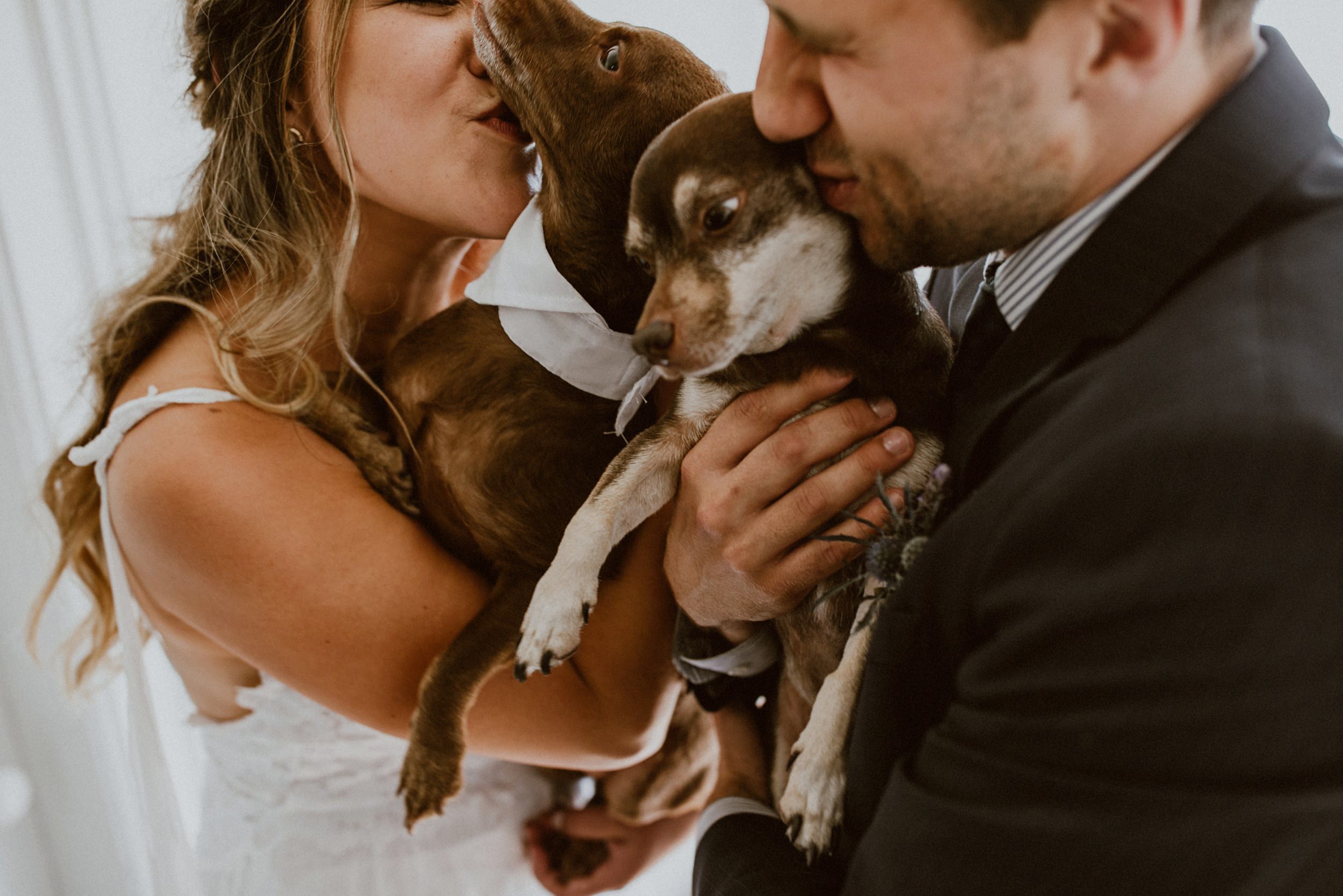 Wedding at Cuffey's Cove Ranch | Mendocino Wedding Photos Wedding at Cuffey's Cove Ranch | Mendocino Wedding Photos