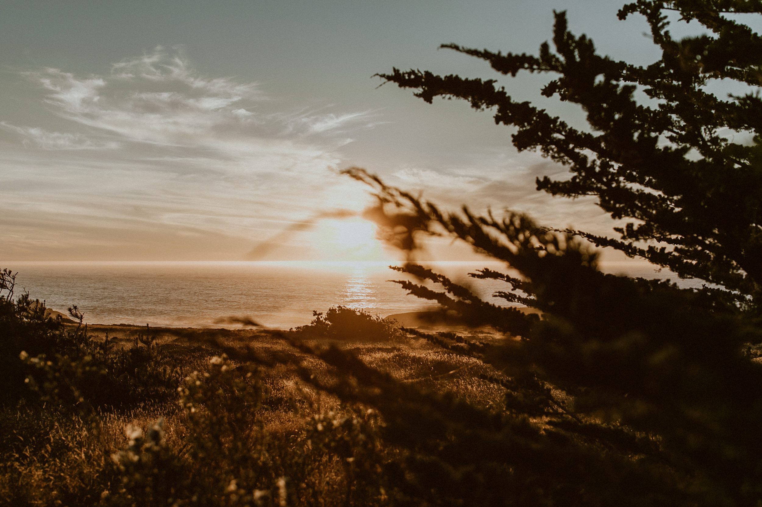 Wedding at Cuffey's Cove Ranch | Mendocino Wedding Photos Wedding at Cuffey's Cove Ranch | Mendocino Wedding Photos