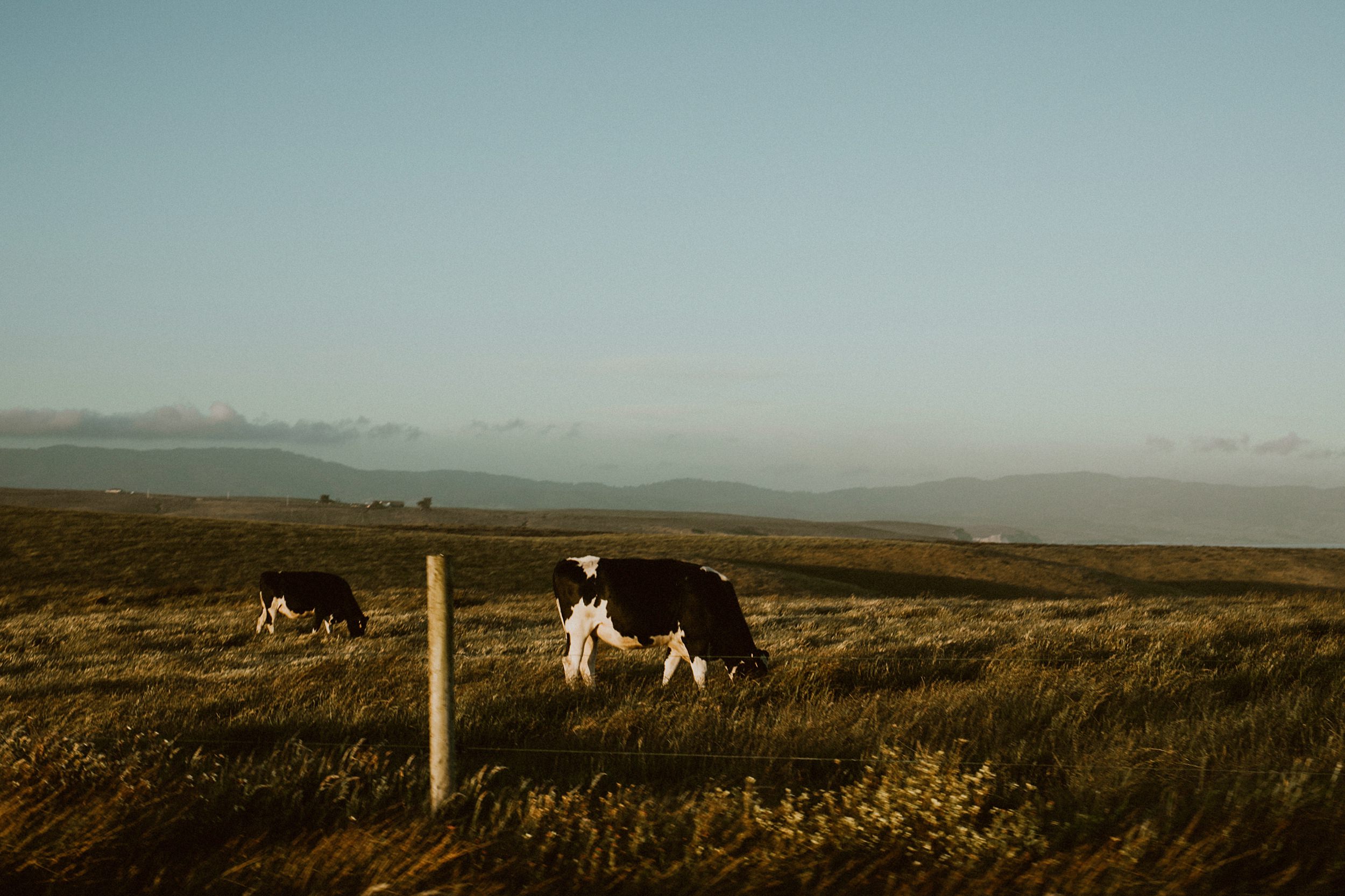 Point Reyes Engagement Photo Session