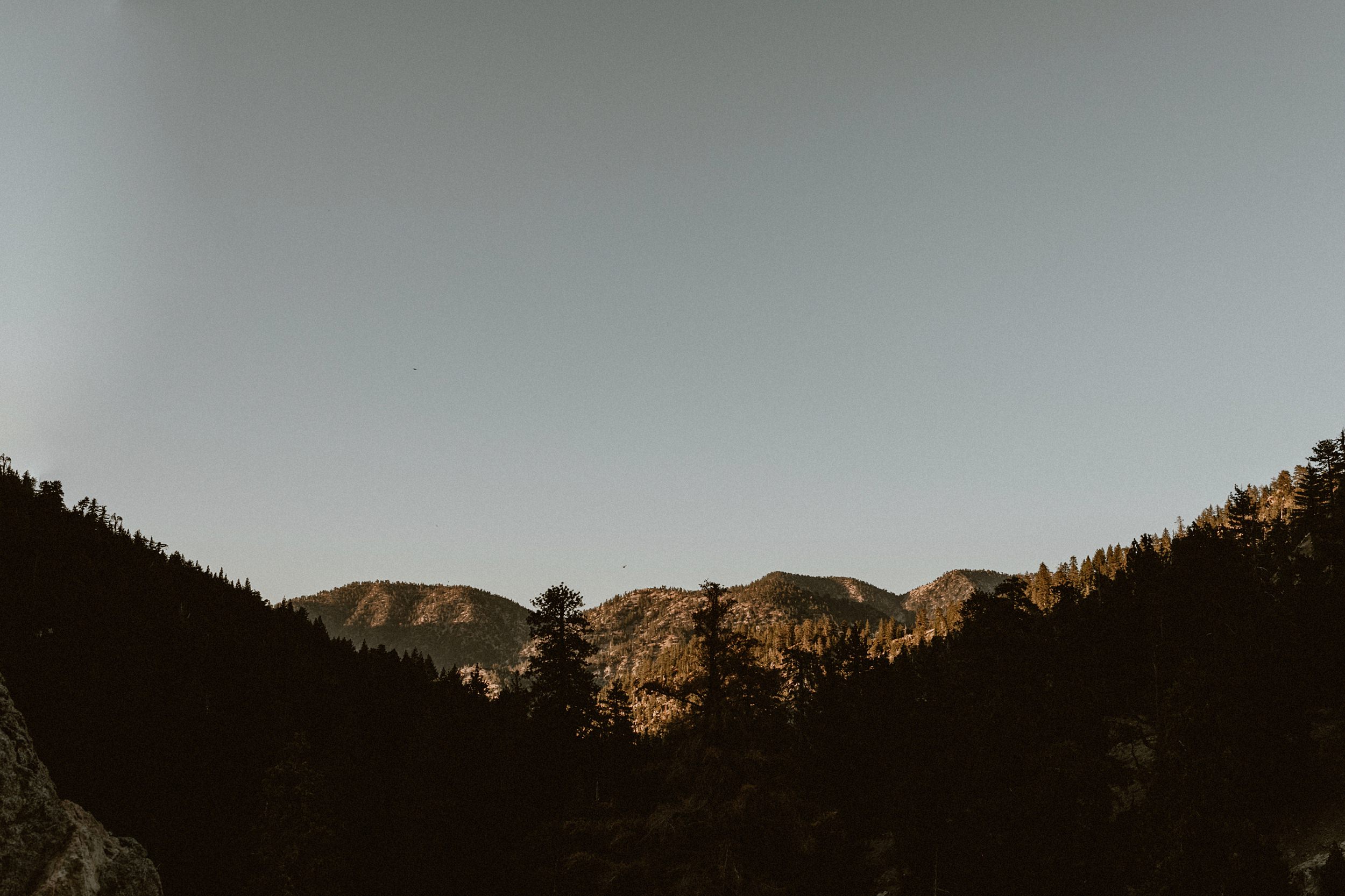 forest engagement session near los angeles