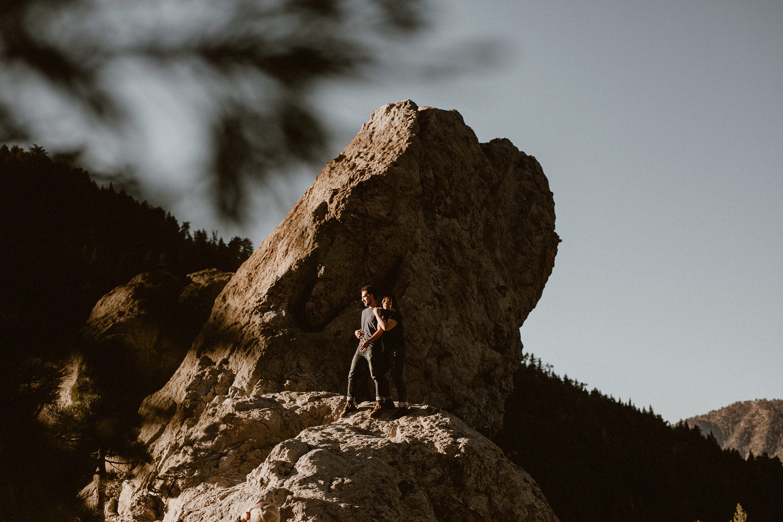 forest engagement session near los angeles