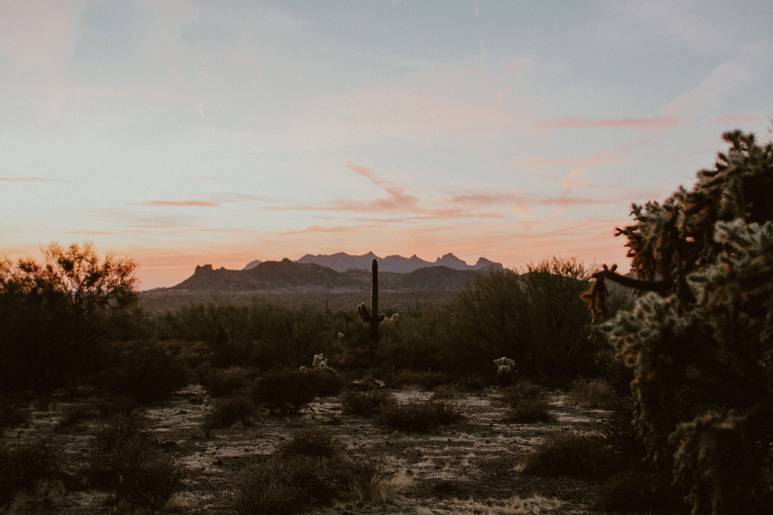 Desert Wedding Photos in Phoenix Arizona Superstition Mountains Desert Wedding Photos in Phoenix Arizona Superstition Mountains