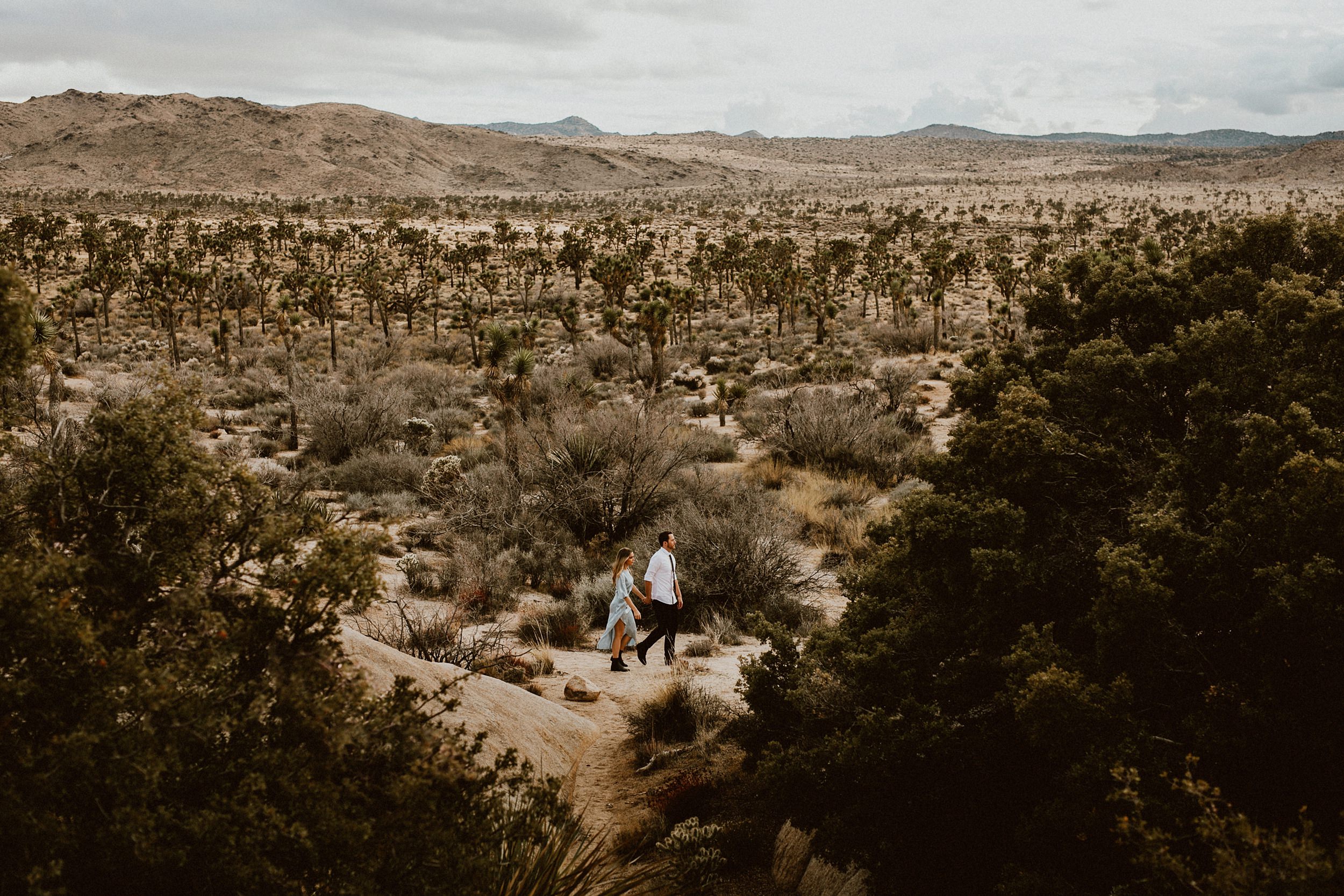 Joshua Tree Engagement Photos Joshua Tree Engagement Photos