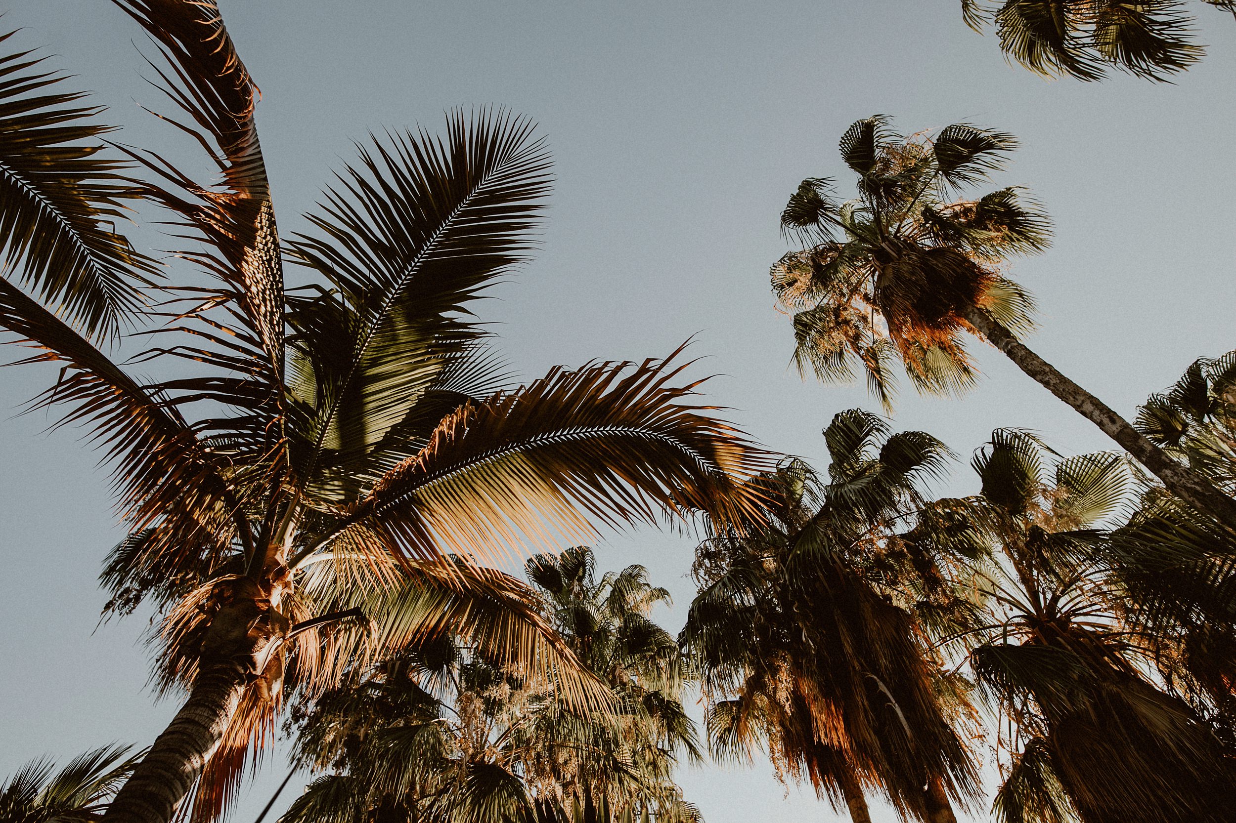 San Jose Del Cabo Wedding Photos at Acre Baja | Marie + Derek