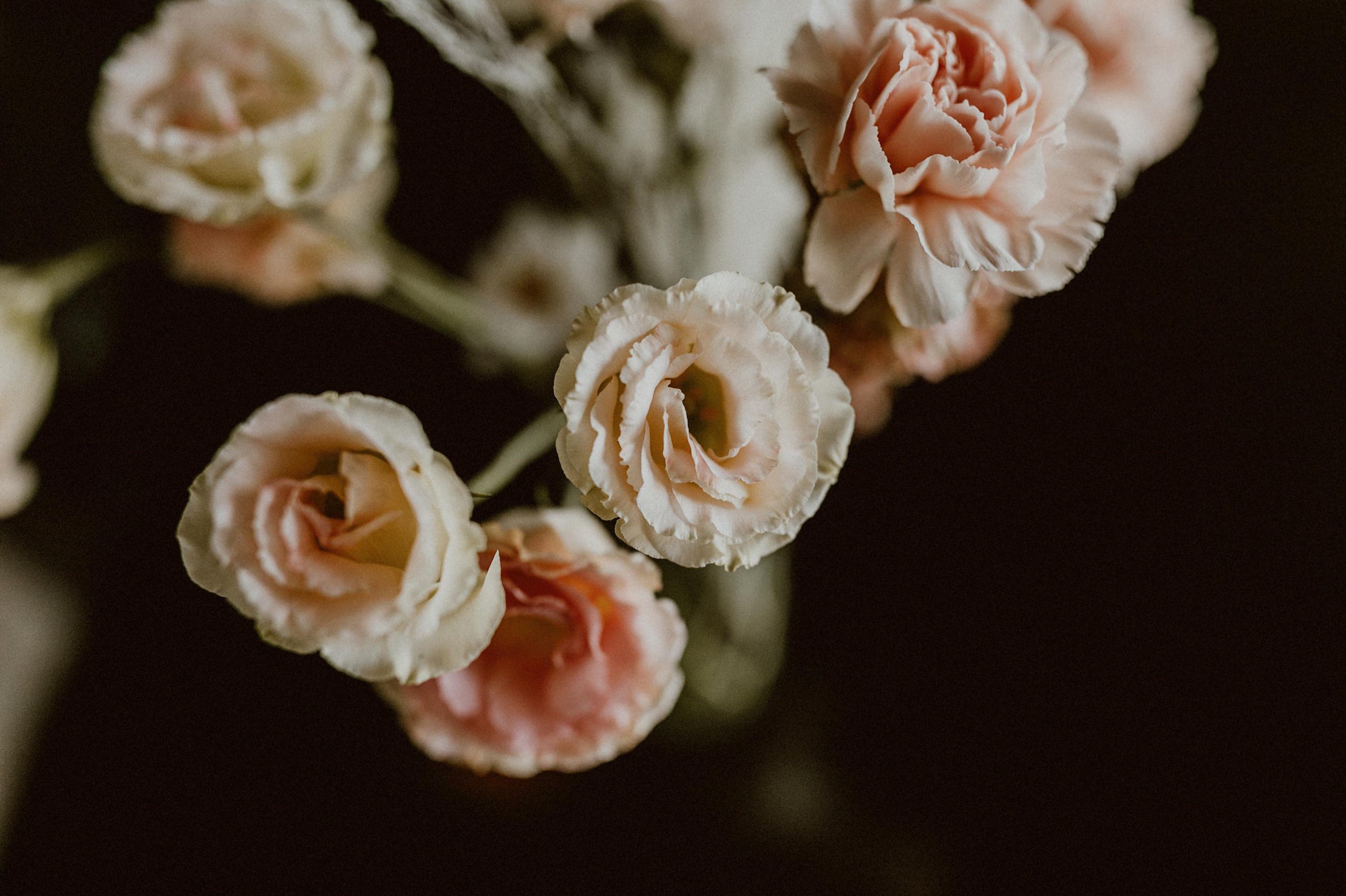 Cabo Wedding Photographer Cabo Wedding Photographer