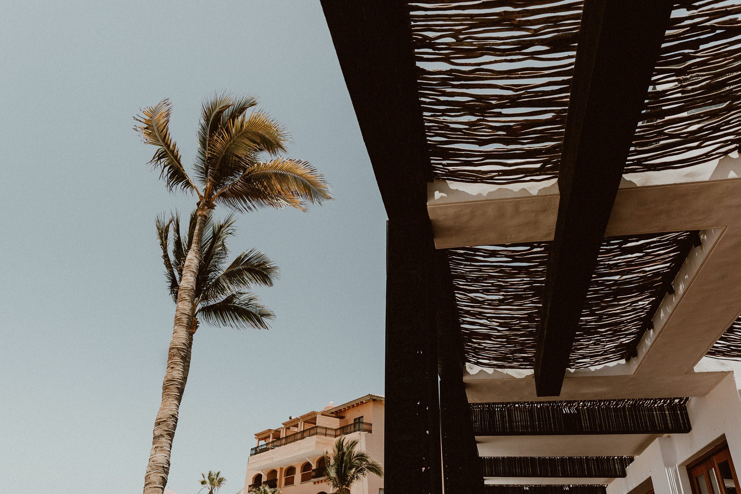 Cabo Wedding Photograper Cabo Wedding Photograper