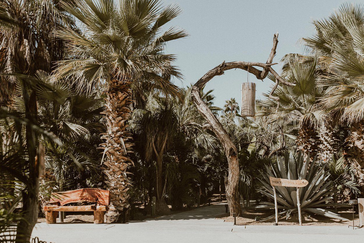 Acre Baja Wedding Photos