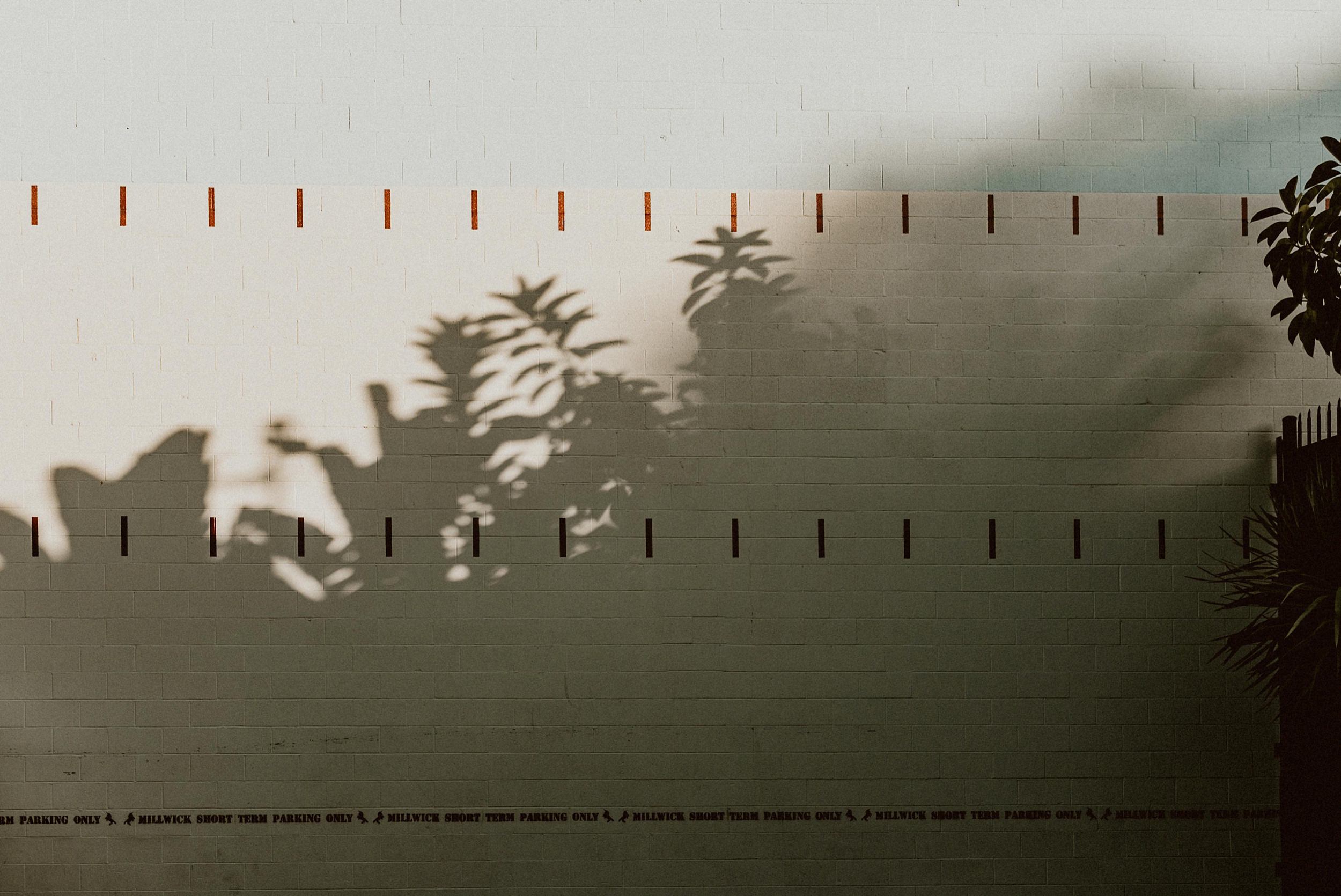 Millwick Wedding in Los Angeles