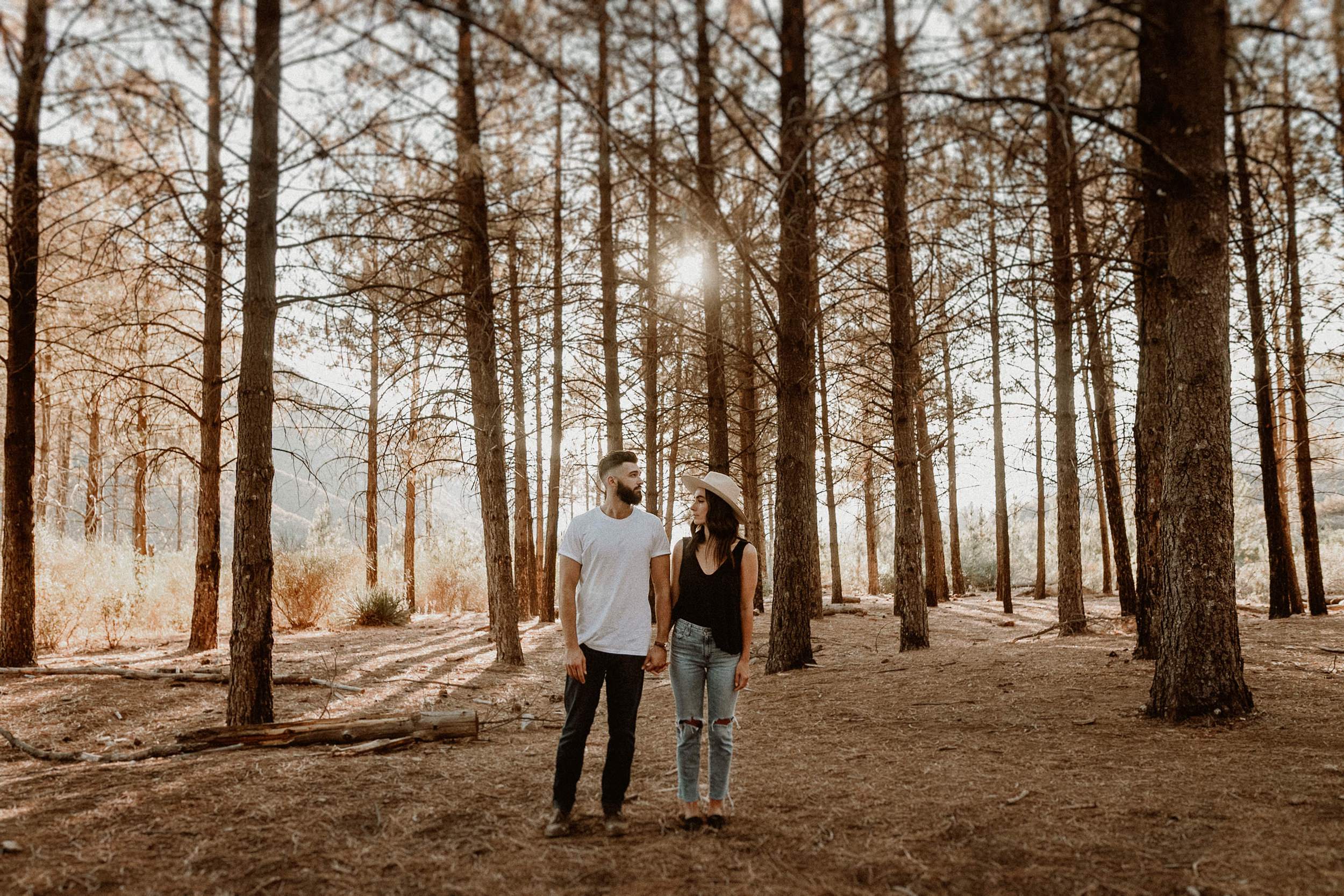 Pine Forest Engagement Session in Los Angeles
