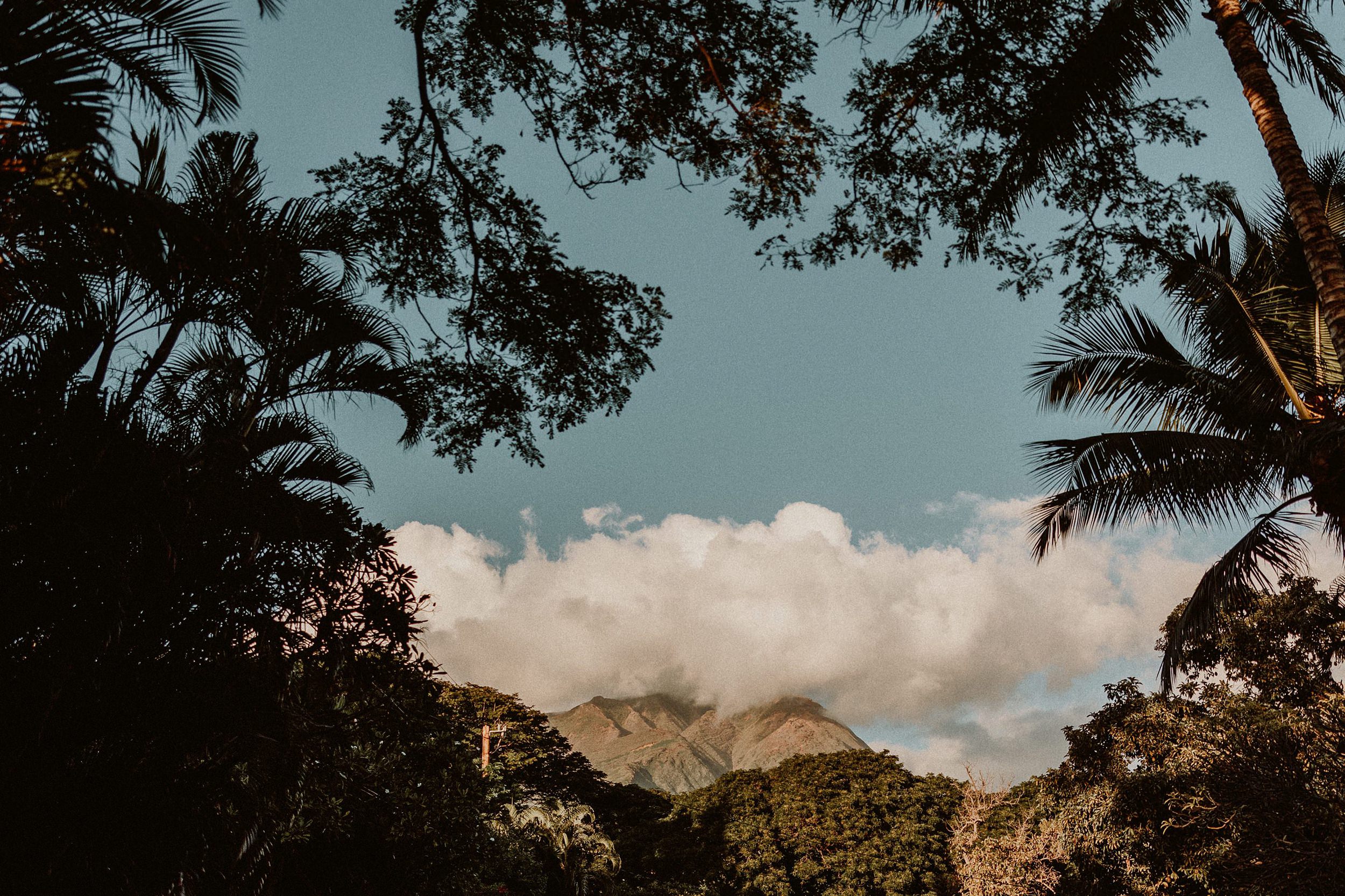 Wedding Photos at the Olowalu Plantation House, Maui