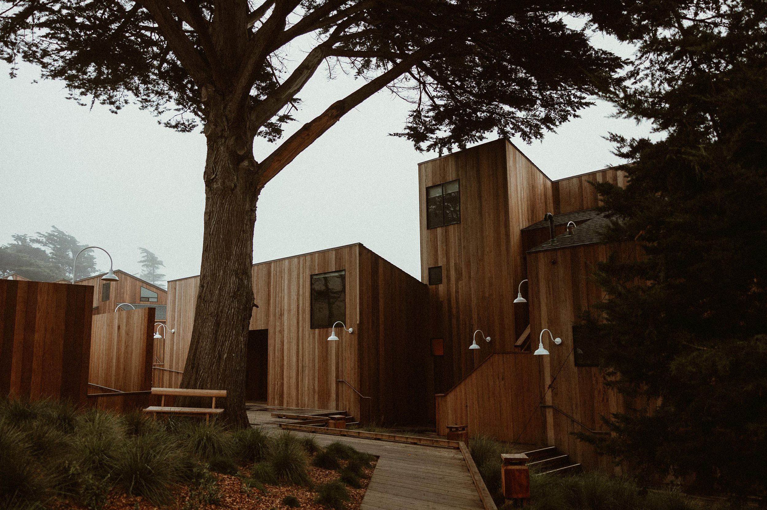 Sea Ranch Wedding Photos