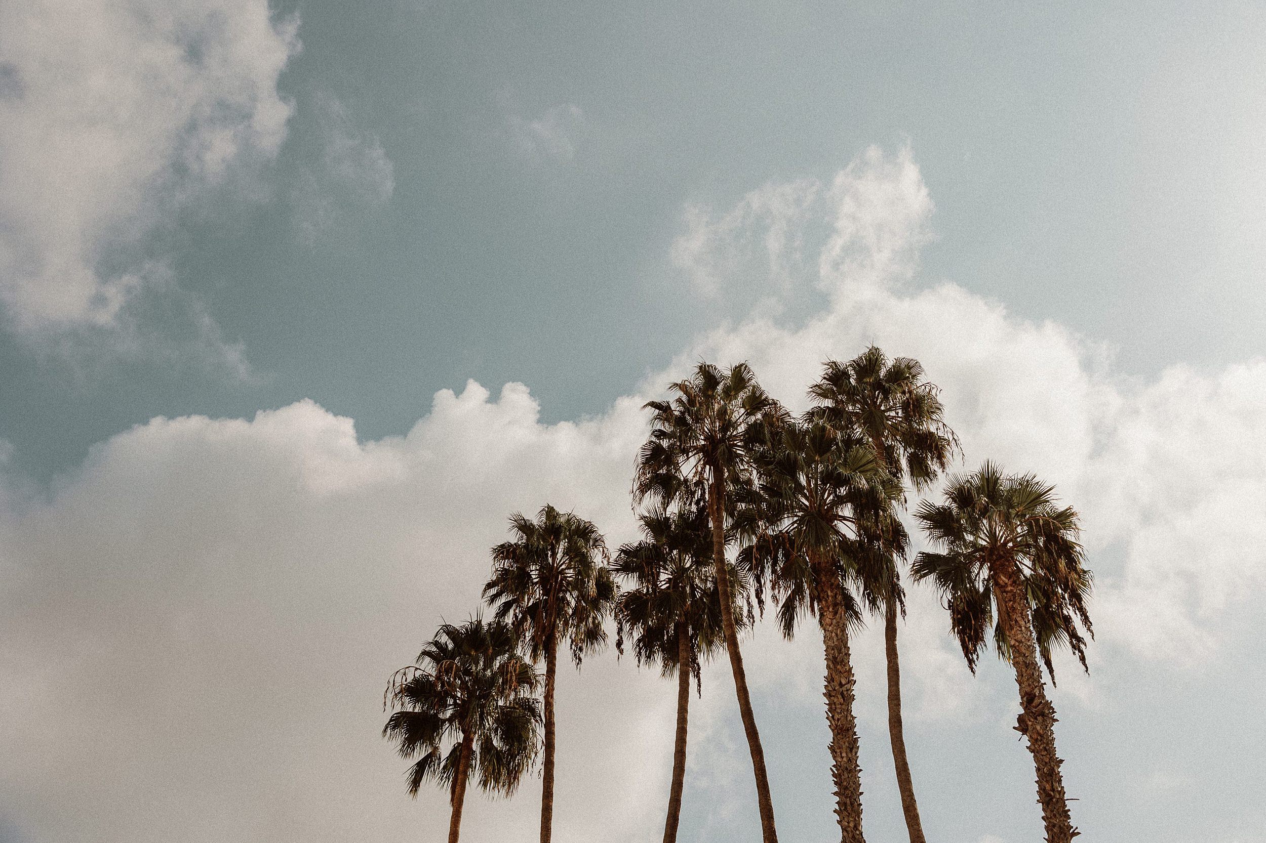 Hollywood Wedding at the Roosevelt Hotel