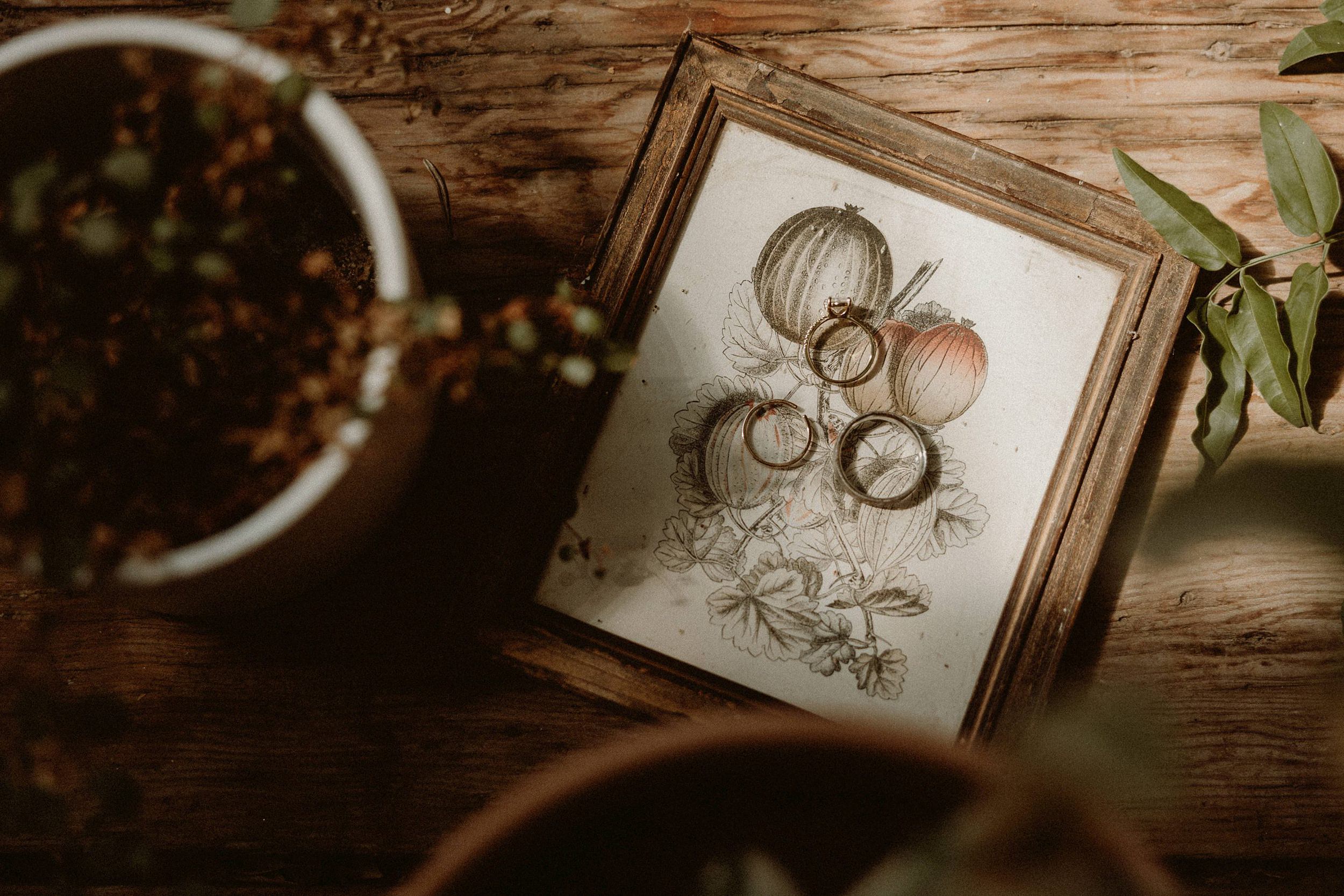 garden wedding design rings